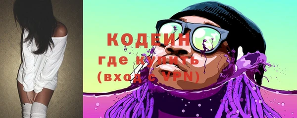 хмурый Карпинск