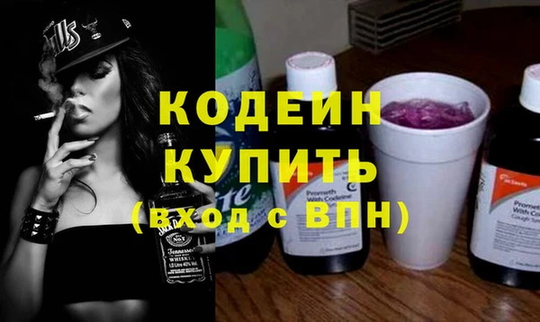 хмурый Карпинск