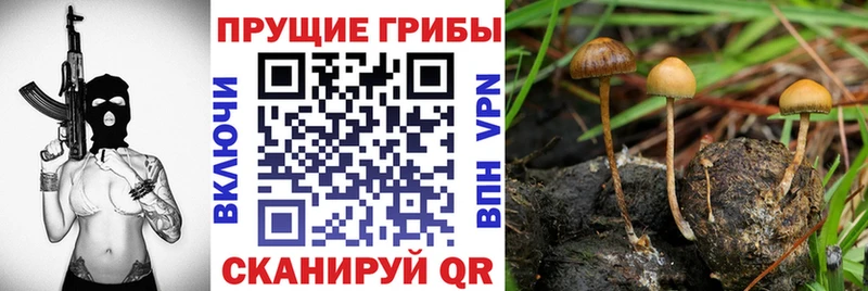 Купить  Демидов  Псилоцибиновые грибы ЛСД 