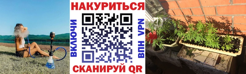Шишки марихуана ГИДРОПОН  Купить  Демидов 
